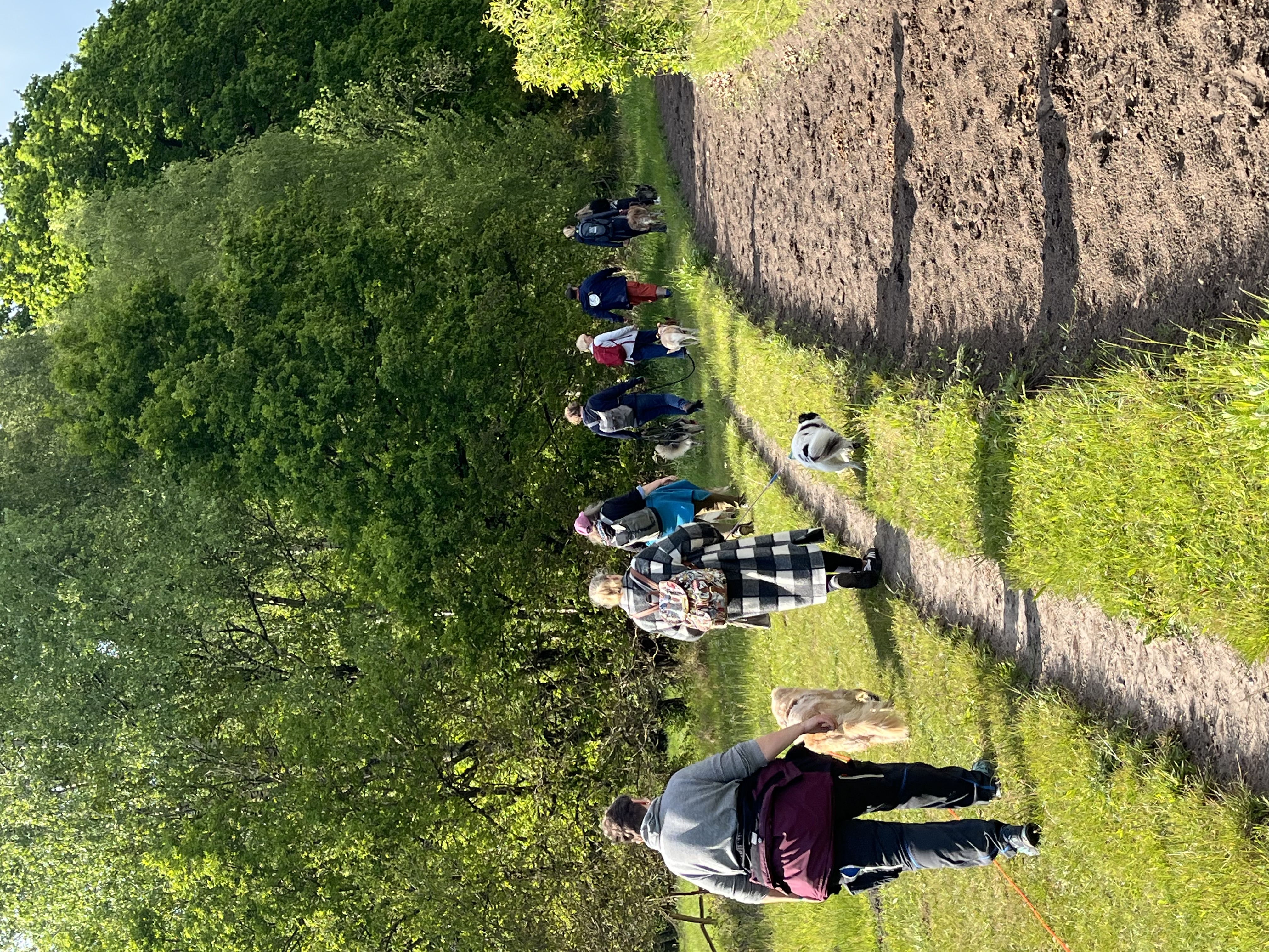 Bild: Wanderung mit Hund Kursbild
